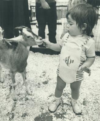 Children - With other pets