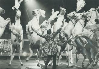 The customary horse act that comes with every circus is back again at the Coliseum in the CNE grounds with the clows and acrobats and tigers and lions(...)