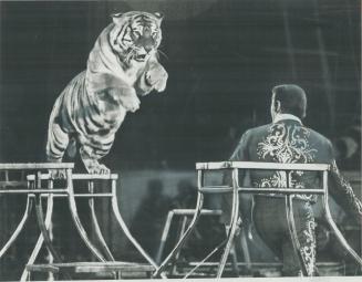 The tiger and his trainer are a traditional part of every circus - and last week's Ringling Bros