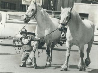 Circus view, Circus employee Mark Parr, shown leading a team of horses at Shrine Circus in Toronto, objects to pickets' contention that circus life is(...)