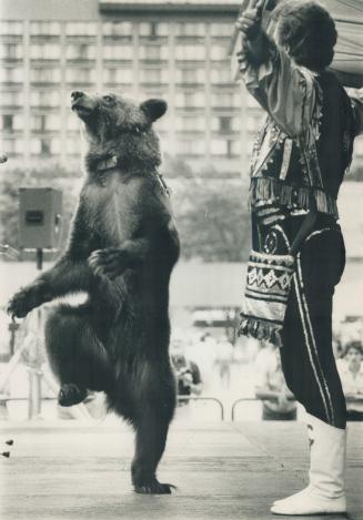 Can I this dance? Bianca the bear, a 350-pound Russian brown bear from Tivoli, was a disco queen weekend at Sparkles, the world's hig(...) – Items – Digital