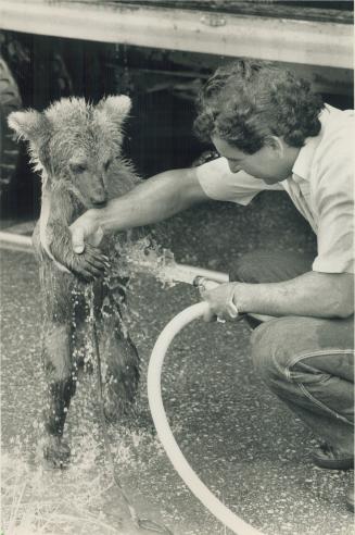 A little higher please. Honey the bear, a performer in the Shrine Circus, gets a good hosing yesterday from trainer Rene Turcios. The 29-week-old Syri(...)