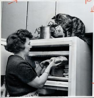 Mrs. Gordon B. Armstrong keeps some of her meat in small freezer. The family cat, Jerry, likes to sit on top of the big refrigerator