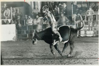 Dave Doner of Pefferlaw, grits his teeth in the junior steer riding at the Ontario Finals Rodeo in the Exhibition Coliseum