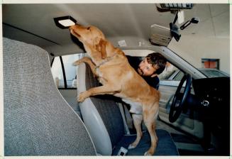 Strict measures: U.S. customs dog-handler Cliff Davidson (above) Walls as Dade sniffs for narcotics