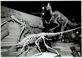 Exhibit at Ontario Place