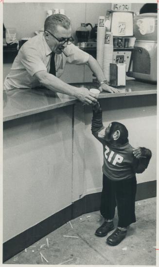One on the house is received by Zippy the chimpanzee from Joe Pinsk at Dinty Moore's snack bar in the CNE's Coliseum where the Canadian National Sport(...)