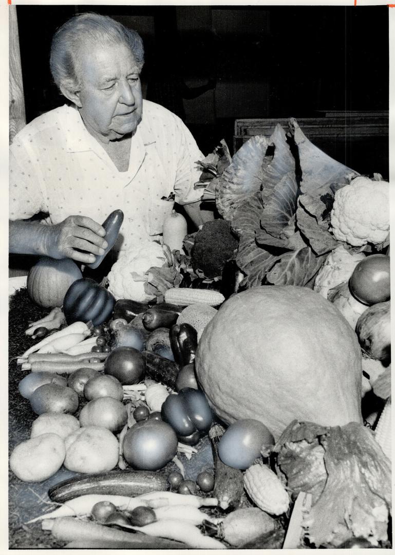 It's now fair weather, Preparing a vegetable entry for the Durham Central Fair, which opened last night at the Orono fairgrounds, George Thorlby of Whitby searches for the place for one last pepper