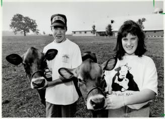 Fall fair time, Todd Livock, 15, and sister Jennifer, 19, are getting their Jersey show calves ready for competition at fall fairs