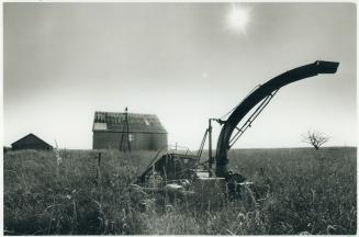 Lying fallow: Once sturdy barns decay, like this one one an abandoned Bruce County farm, as more farmers leave the land