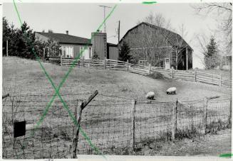 The source: Public policy should require food be produced in an ecologically and economically sound manner that fosters a healthy farm community
