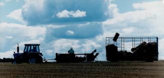 Baling wheat straw