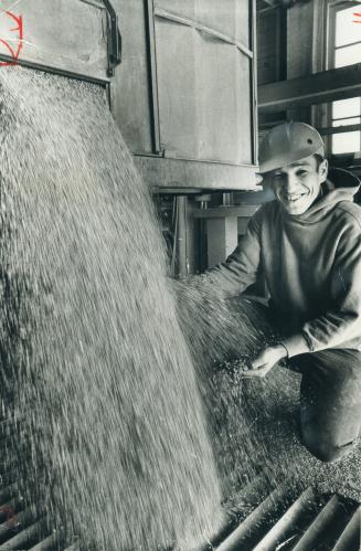 Once wheat was king