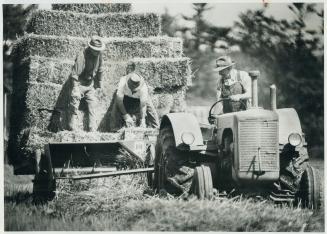Farmers want to be assured they can earn living, says writer Margaret Weiers