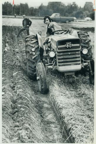 Queen of the furrow at plowing match near Uxbridge yesterday was 10-year-old Gail McGuckin of Mount Albert