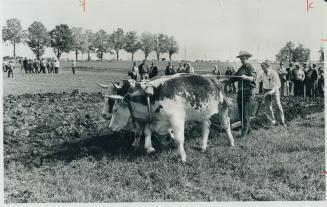 Farms and Farming - Plowing