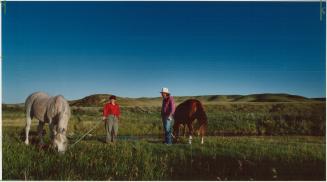 Pastoral Conundrum: Big sky. Big land. Big trouble. Sharon and Peter Butala on their farm in Saskatchewan, where foreclosure has become a way of life
