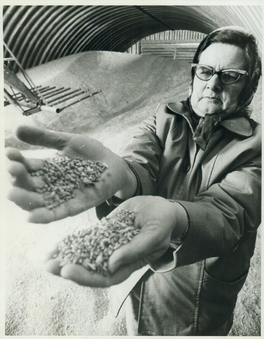 Farms and Farming - Prairies