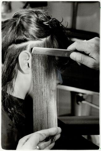 5 To trim the sides, remove hair from the ponytail and comb straight down