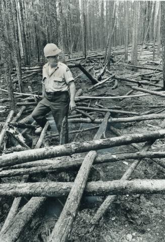 L. T. Anderson, and Forests man [Incomplete]