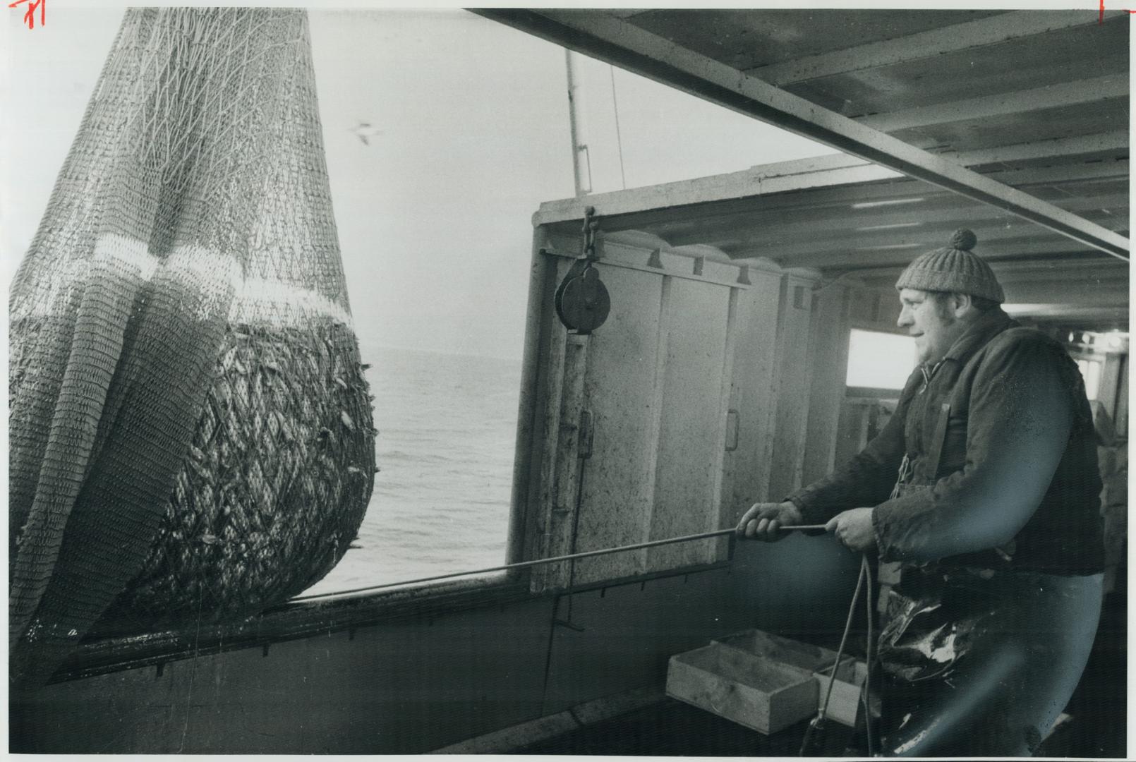 Hauling in $100 worth of fish a day is necessary to make the work worthwhile, says Doug Mummery as he inspects a catch of smelt and shad he and his br(...)