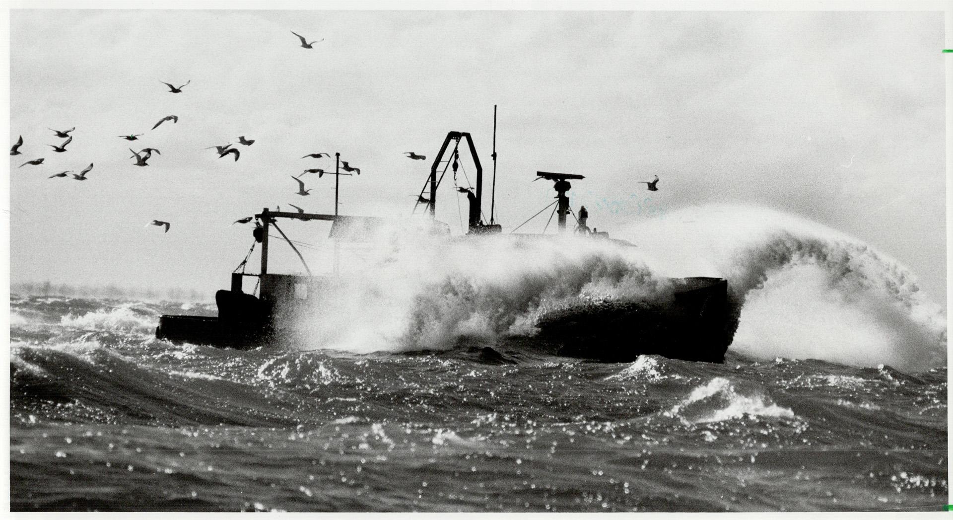 On patrol: Sophisticated trawlers like the Leonard S, owned by Henry Misner, patrols Lake Erie to catch smelt