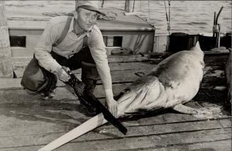 Here's evidence that a swordfish really has a sword