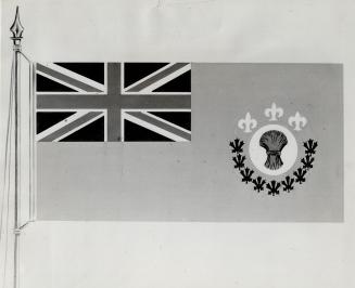 This is Watson's alternative suggestion for flag