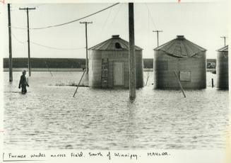 A farmer wades across a field covered by a lake of floodwater south of Winnipeg