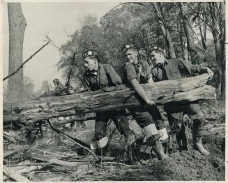 Lifting a huge log in clearing Debris from the Humber flood basin today are three members of the 48th Highlanders
