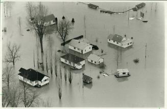 Rice paddies: Homes on the outskirts of Chatham, near Highway 2, are still surrounded by water from the Thames River, although the levels are subsiding
