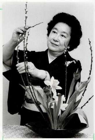 Sign of spring, Shizuko Kadoguchi, president of Toronto Ikebana Society, finishes a spring flower arrangement
