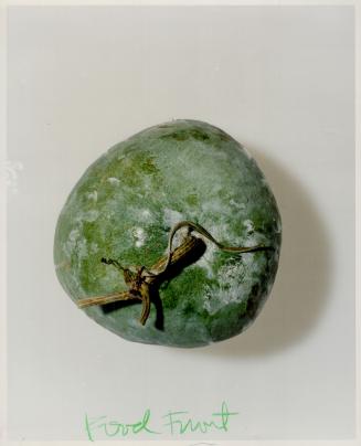 Winter Melon