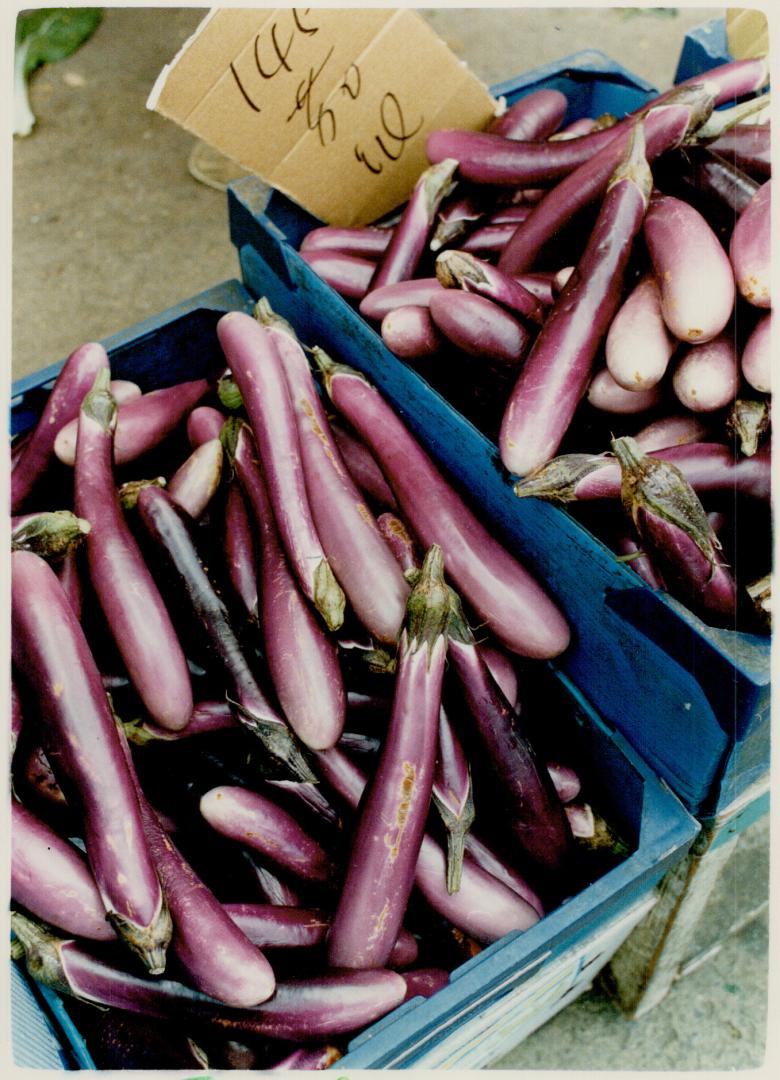 Eggplant