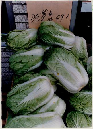 Sul choy, Chinese cabbage