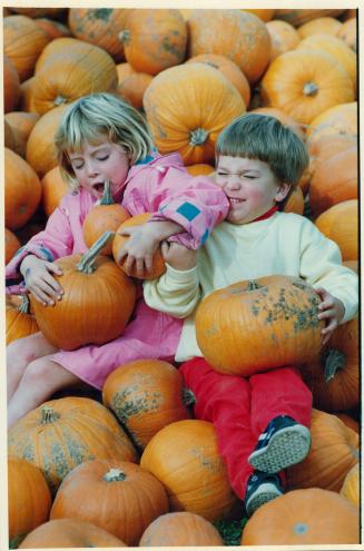 Playing with pumpkins. Shannon Konoby, 5, and Andrew Quinn, 3, pick the perfect pumpkin to turn into a jack-o'-lantern, a pie or maybe even a princess(...)
