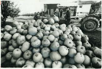 They'll make a lot of Jack-O'-Lanterns, With frost expected, Mary Schembri (left) had to take in the pumpkins she raises on her 4 1/2 acres on Birchmo(...)