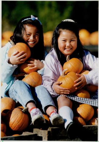 Playmates in the pumpkin patch, Ava Auyeung, 11, (left) and sister Helga, 9, pick their prized pumpkins from a plentiful supply of about 20,000 at Stroud's Farm on Highway 2 in Pickering