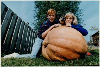 Proud siblings produce 200-pound pumpkin, Darcy Parker, 12, and his sister, Yvette Parker, 11, of Whitby, proved teir horticultual skills by growing this giant pumpkin