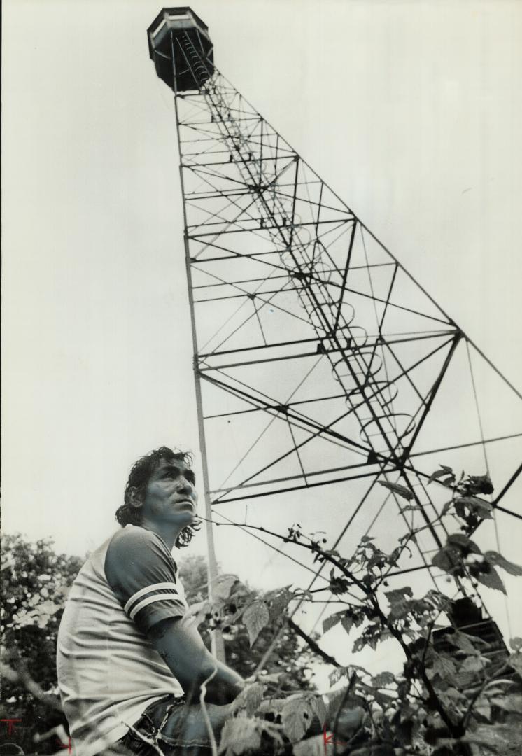 Only two fire towers are left of the hundreds that once dotted Ontario