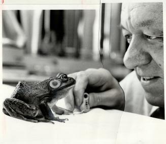 Rabbit: Rom curator Dr. Edward Crossman hopes transistorized frog will give clues to why species is disappearing