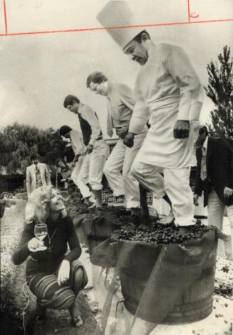 Toasting the new harvest, Encouraged by Pauline Waite, chef Claude Gambin gets both feel into act at grape stomping contest during Vendage'76 at Inn o(...)