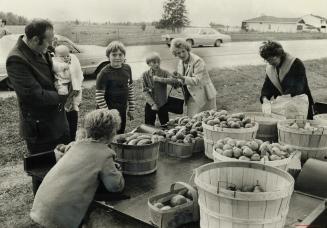 Youths' fruit stand popular with motorists, Helped by their dog, Fifi, and kitten, Inky, three children and their mother, Mrs. Lois Ried (right), are (...)