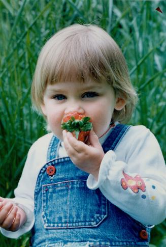 M-m-m, this one's ripe, Leah Reesor's just 2 but you can trust her nose for strawberries