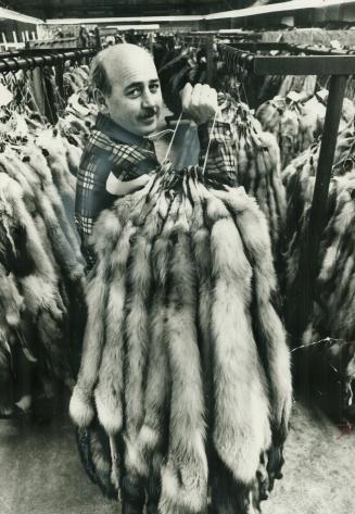 Selling wild furs is Alex Shieff's trade and when the big buyers from New York