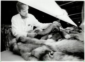 Furs and Fur Farming