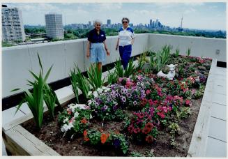 Marjorie Caple and Esther Banack are two of the many seniors who have a garden plot on the roof at Tichester Gardens apartments