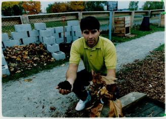 Autumn leaves: Alessandro Torresan of the Brampton's works department, demonstrates composting methods at Chingacousy Park
