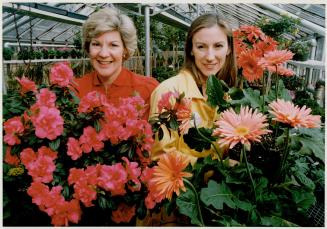 Bounteous, blooming beauty, Club members Beverly Hargraft, left, and Martha Finkelstein prepare for the Garden Club of Toronto show, Show Stoppers, to(...)