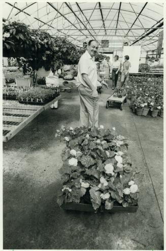Greening of metro: Fernand Boulanger, right, has a load of plants at Reeves Florist and Nursery